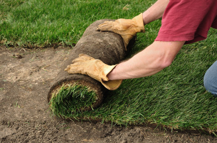 How to Care for Your New Sod